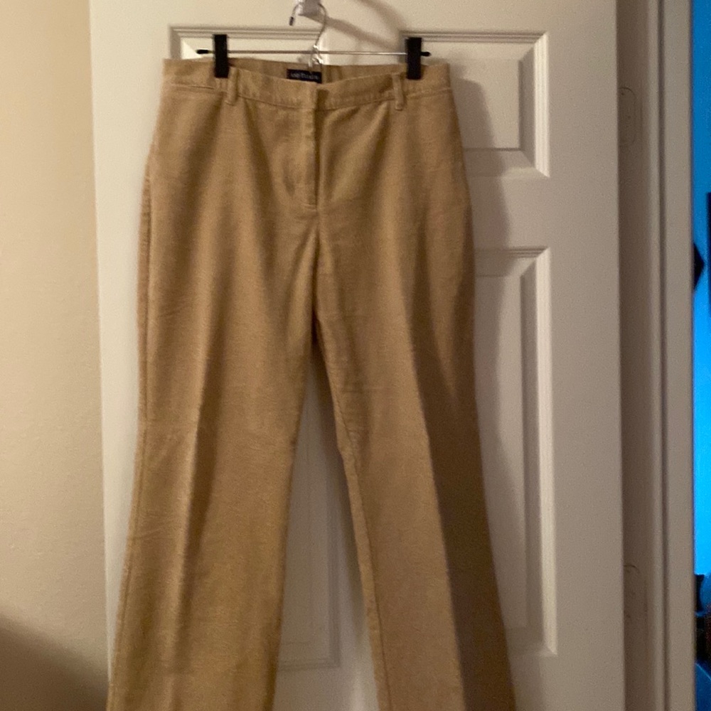 Ann Taylor pants